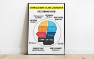 Classroom Poster - What I can Control and What I can't
